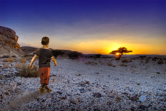 Desert Twilight