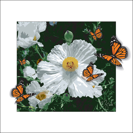 Egg Flower white