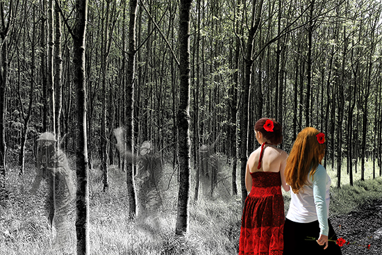 Flanders Forest