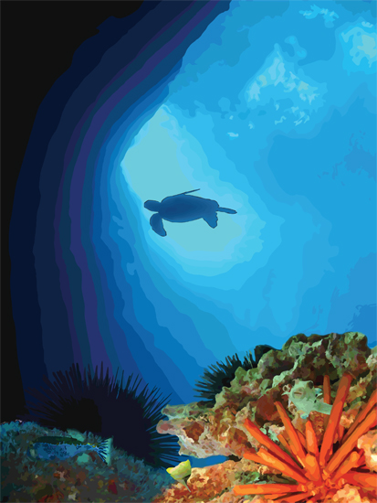 Turtle Light