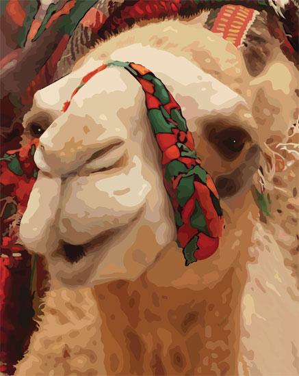 Camel Eyes