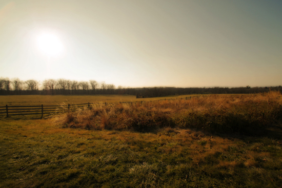 Gettysburg Battlefield