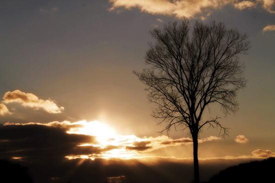 Valley Forge Sunset
