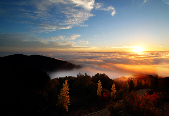 Late Summer Dawn