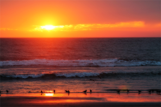 Sunset Beach