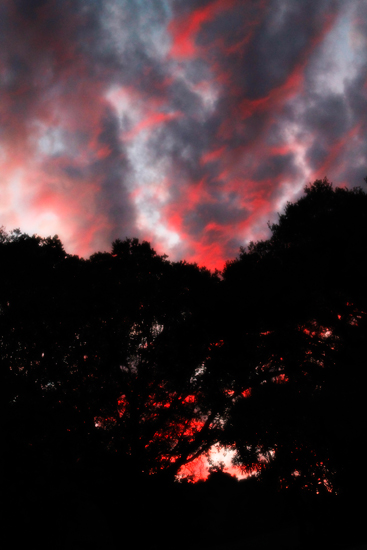 Sunset Through the Oaks 2