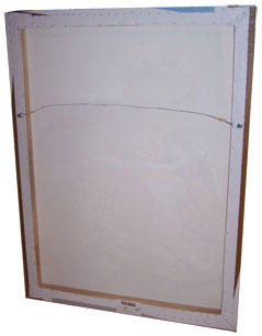 back image